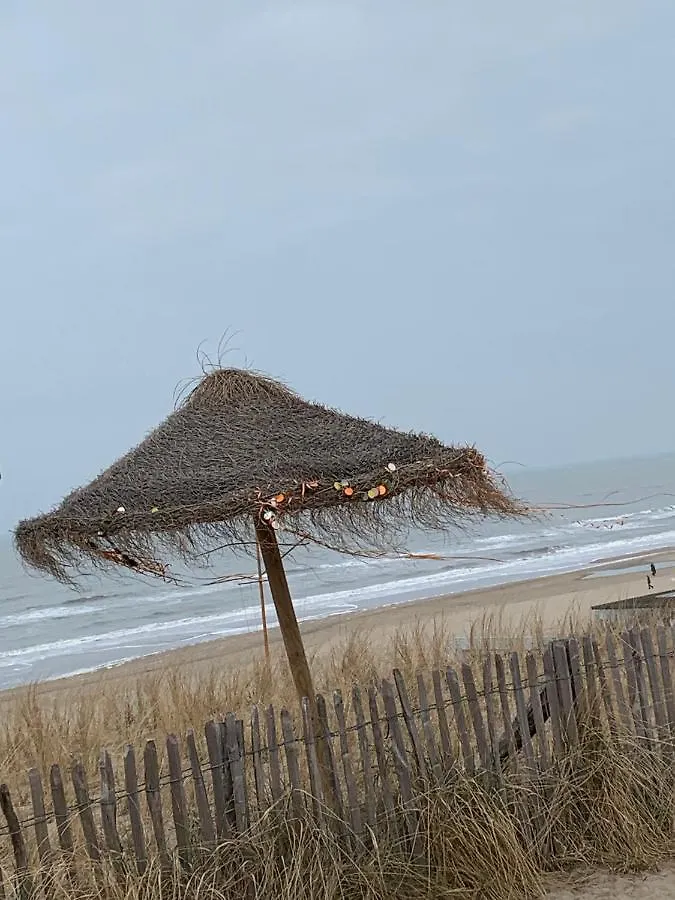 Appartement 'T Zomerhuis Zandvoort Lägenhet