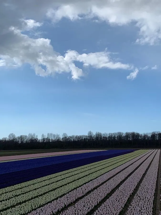 Appartement 'T Zomerhuis Zandvoort Lägenhet