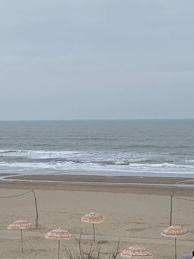 Lägenhet Appartement 'T Zomerhuis Zandvoort Nederländerna